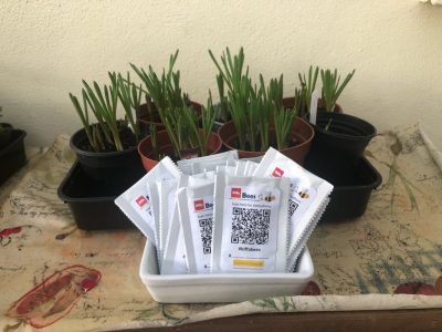 Biffa seeds Biffa seeds